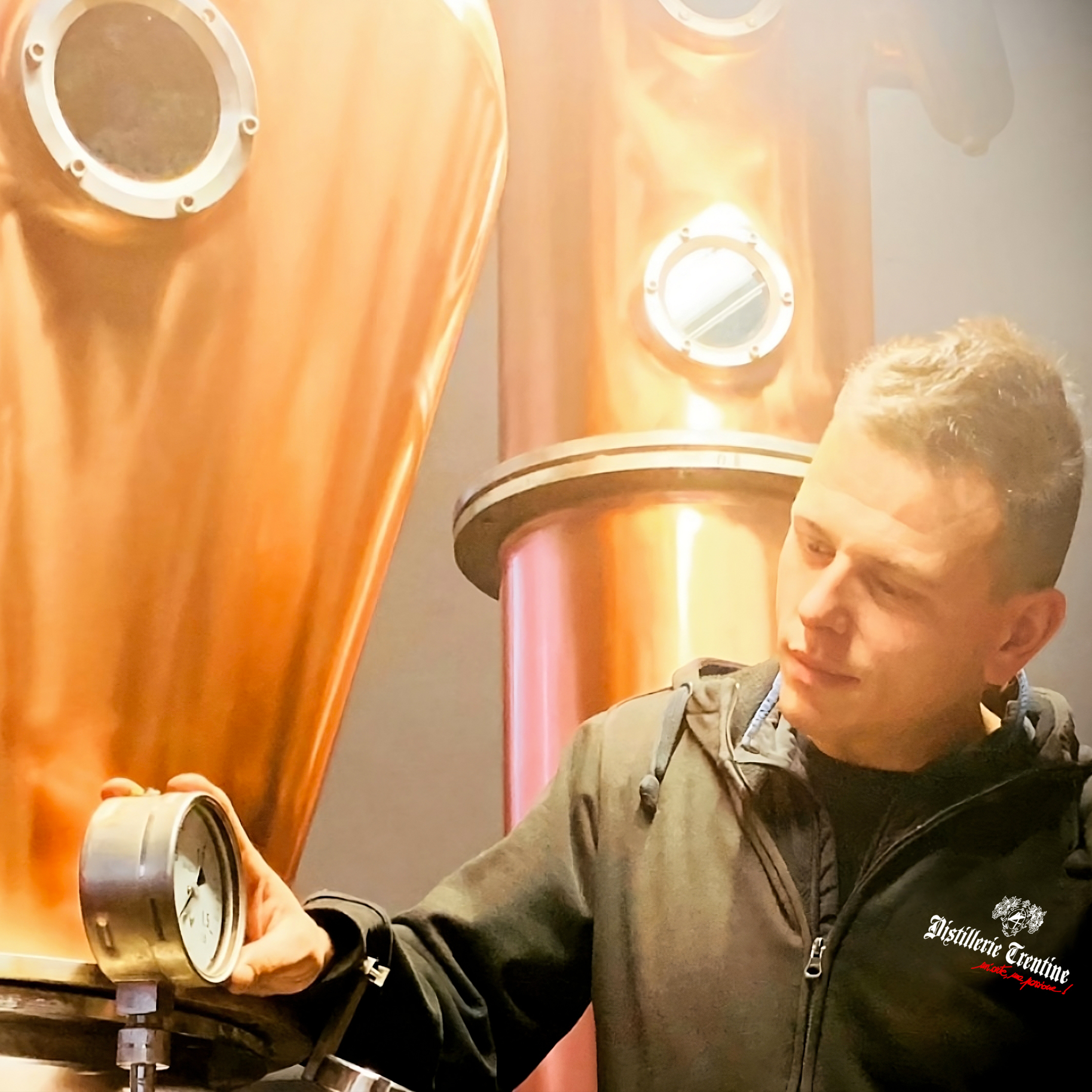 Categoria grappe e distillati